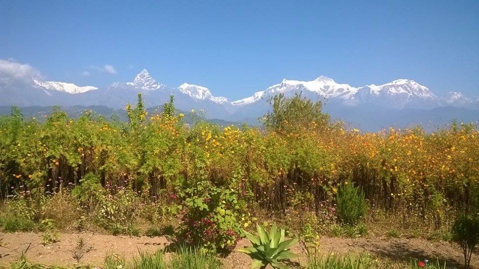 Beautiful View of Mountains from Pokhara 